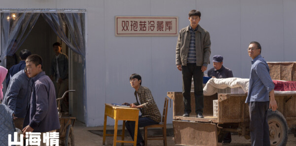 ɽ�����13���������