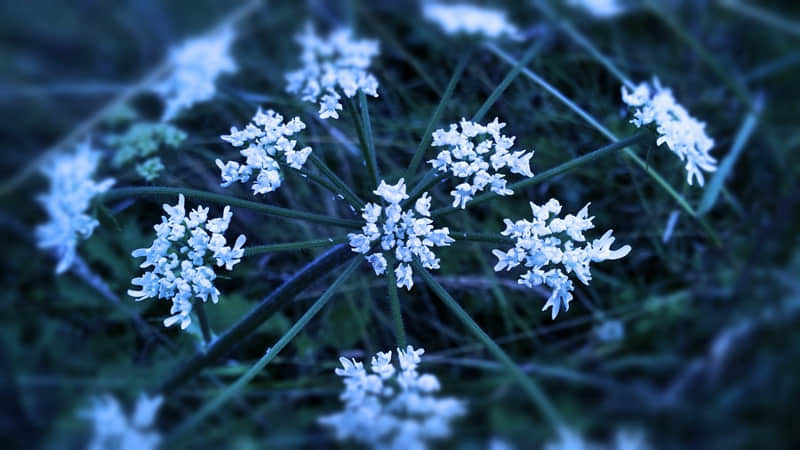 “在干嘛?这样回复,撩意满满2.0”_wishdown.com “在干嘛?这样回复,撩意满满2.0”_wishdown.com