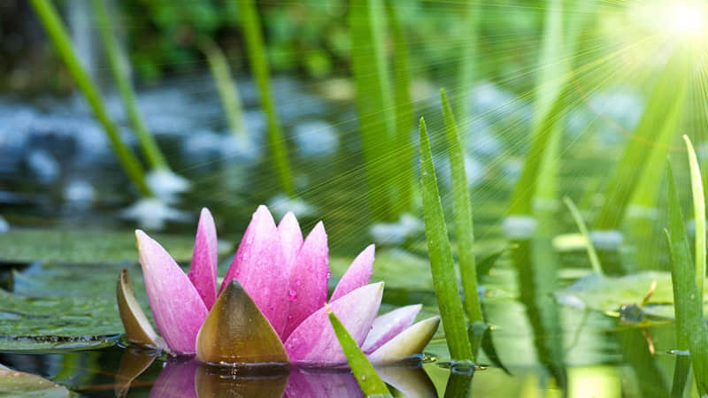 “在干嘛?这样回复,撩意满满2.0”_wishdown.com “在干嘛?这样回复,撩意满满2.0”_wishdown.com