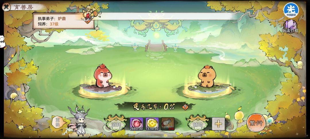 ��ǿ��ʦ���޷��淨����