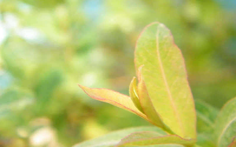 “这样发朋友圈好有感觉哦~”??_wishdown.com “这样发朋友圈好有感觉哦~”??_wishdown.com