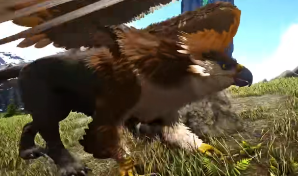 ���������������ʨ�ճ�ʲôѵ�����