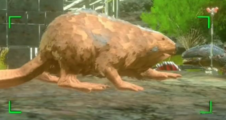 方舟生存进化游戏手机版拍照任务怎么做_wishdown.com 方舟生存进化游戏手机版拍照任务怎么做_wishdown.com