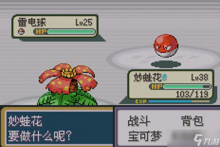 �ڴ����ֻ���ϵ��������ץ