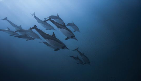 2026耐玩又惊险的游戏推荐及下载方法_wishdown.com 2026耐玩又惊险的游戏推荐及下载方法_wishdown.com