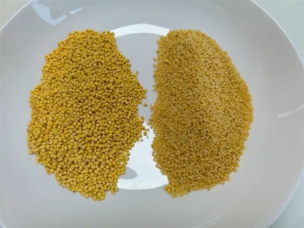 全网“最噎人的食物”出现了 它竟然是营养王者_wishdown.com 全网“最噎人的食物”出现了 它竟然是营养王者_wishdown.com