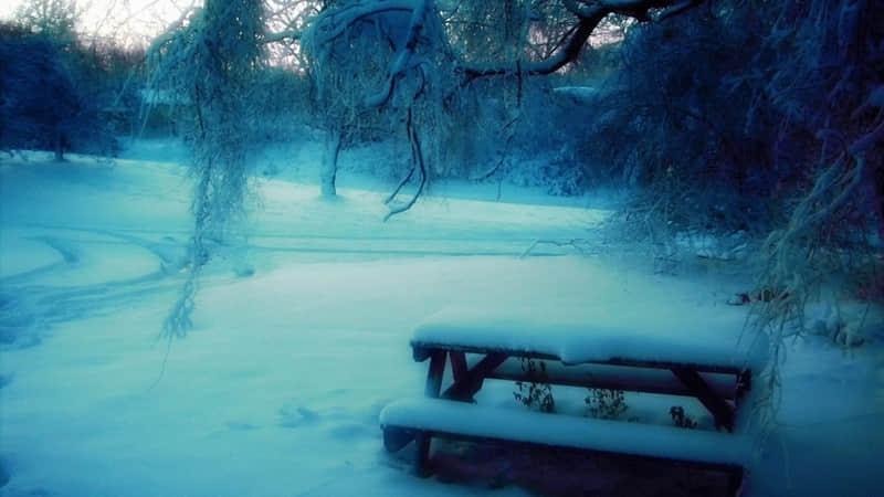 ��???????? ������İ����ˡ�