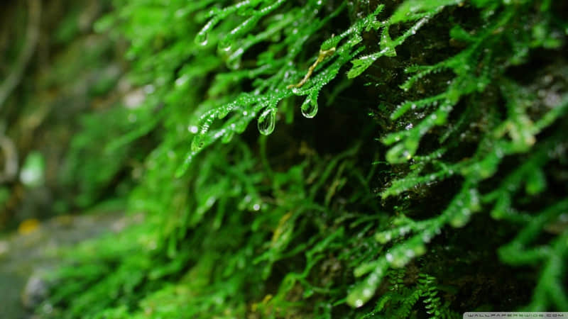 “???????? ,你的文案来了”_wishdown.com “???????? ,你的文案来了”_wishdown.com