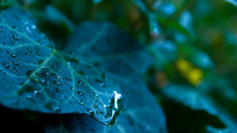 ��??�ϼ������΢�Ÿ�ǩ�û��ˡ�