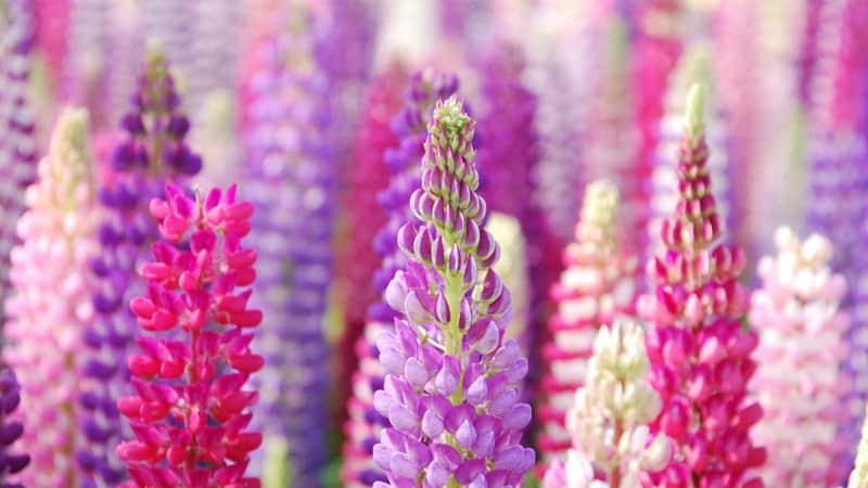 ������Ȧ��ô�����Է������������㡱