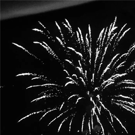 �����˸г�������������(��ѡ100��)