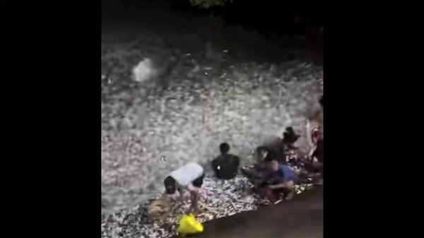 ���ɱ��ֺ�������Ⱥӿ��������ɳ����������������