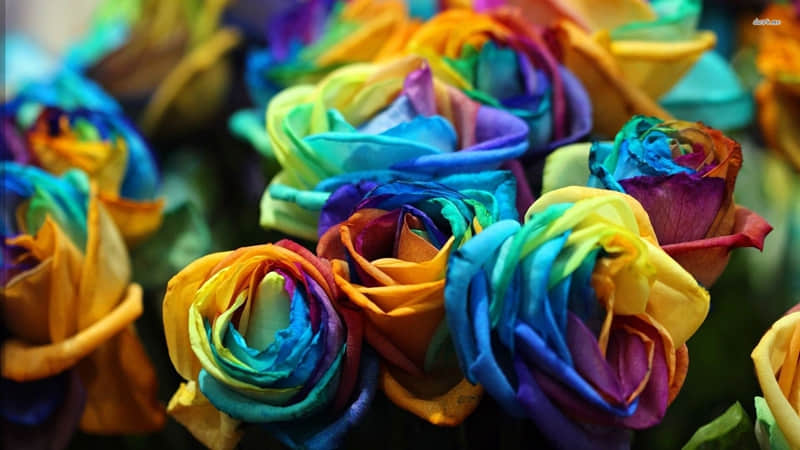 ��һ�仰���öԷ�����ʧȥ�㡱