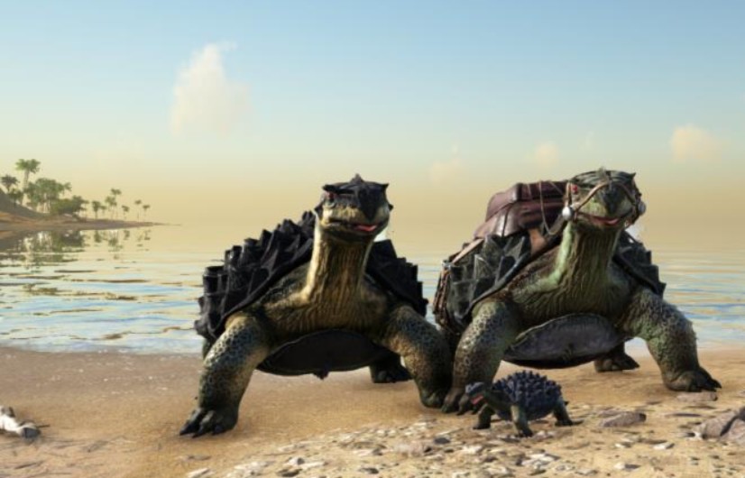 ���������������̼�군������������