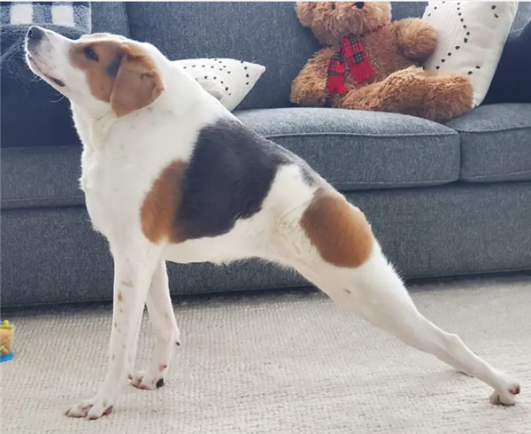 ���ֹ�������û���� ��Ӳ�����ı���