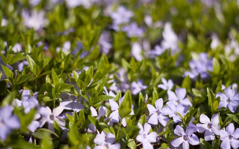 ����Խ��ô����ĳ��Խ�ᰮ�㡱