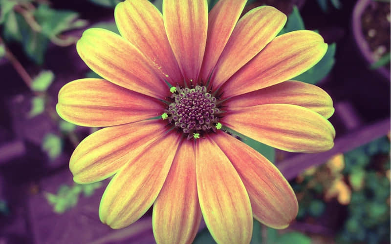 ��????????���㷢�ܾõ�����Ȧ�İ���??��