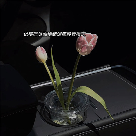 ���������ĵ�������������(��ѡ100��)