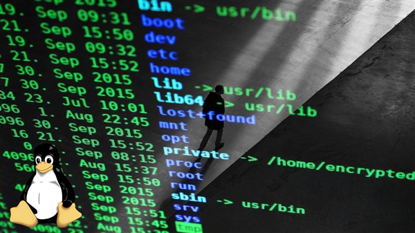 AMD副总裁完全用AI写了个显卡驱动!但和你想的不太一样_wishdown.com AMD副总裁完全用AI写了个显卡驱动!但和你想的不太一样_wishdown.com