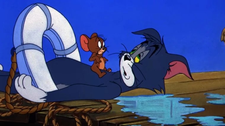 ����ʵ������˼�� ����ï�ơ�è������������������������Ϸ����