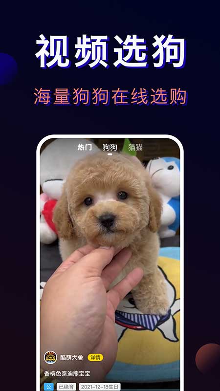 ר���������app����Щ