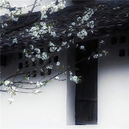 �����˸е�������������(��ѡ100��)