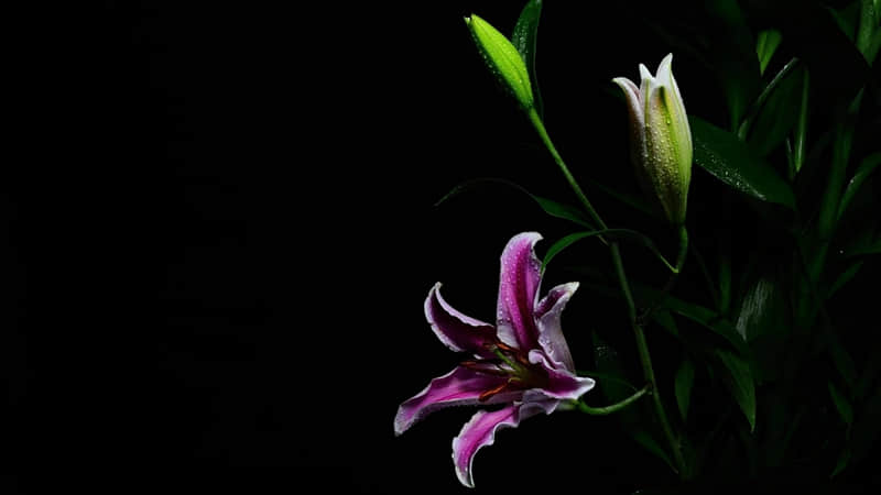 ��2?2?/??.????�ܶ���죬�簲����Ȧ�����������Ԫ�����������˶�������