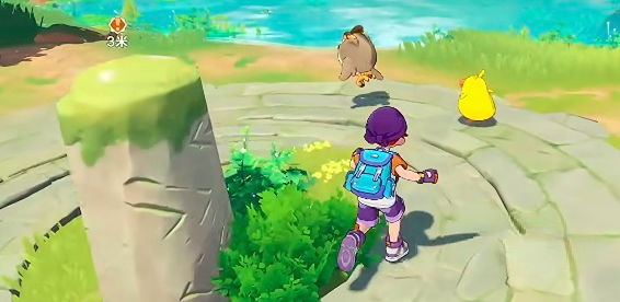 ����������紫�ͻ������