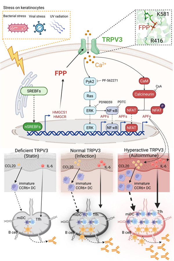 ʮ���깥�أ��廪��ѧ�ƽ�����ѧ��������