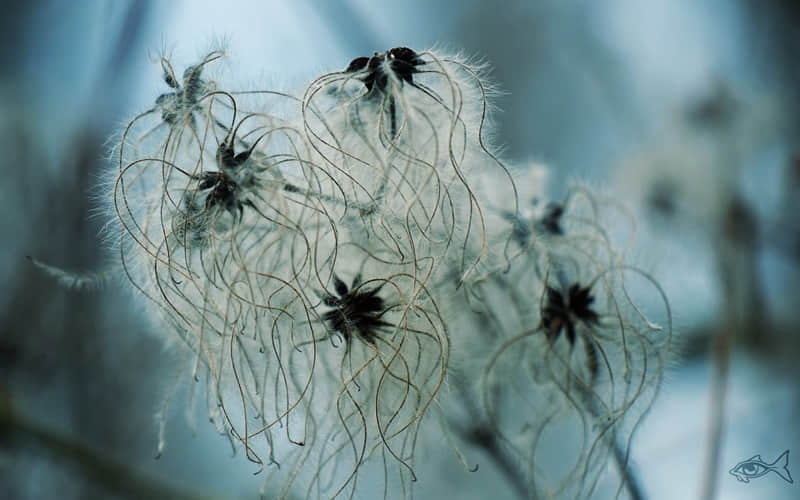 ��????????���΢�Ÿ�ǩ�û���??��