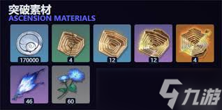 ������ŵ����������ʲô