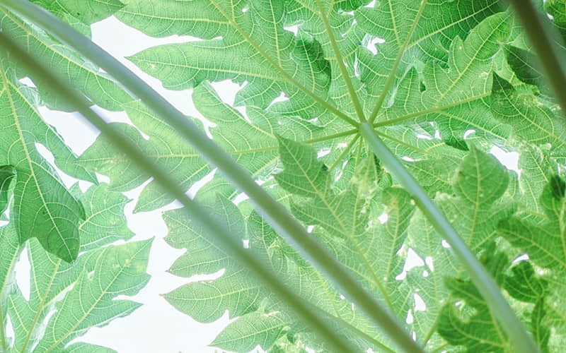 ��Ҫ�����ˣ���Ҫ������˵�ټ��ˡ�