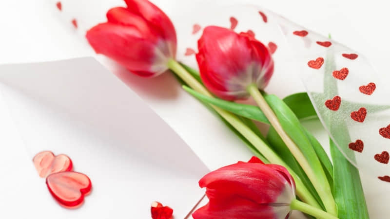 “度娘都搜不到的走心句子,太高级了!”_wishdown.com “度娘都搜不到的走心句子,太高级了!”_wishdown.com