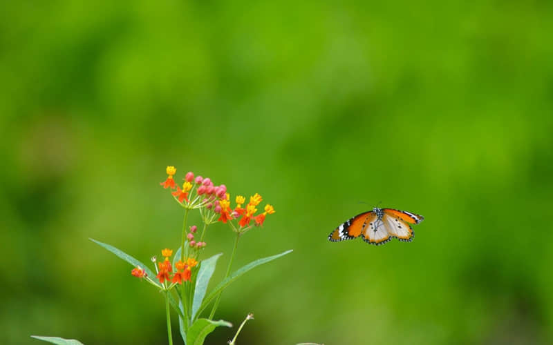 ��ԭ�����ۿ���д����ô��??��