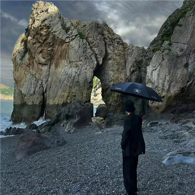 ������ɫõ���������ȫ(��ѡ100��)