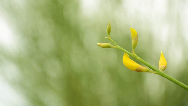 适合长期不发动态的你 |文案_wishdown.com 适合长期不发动态的你 |文案_wishdown.com