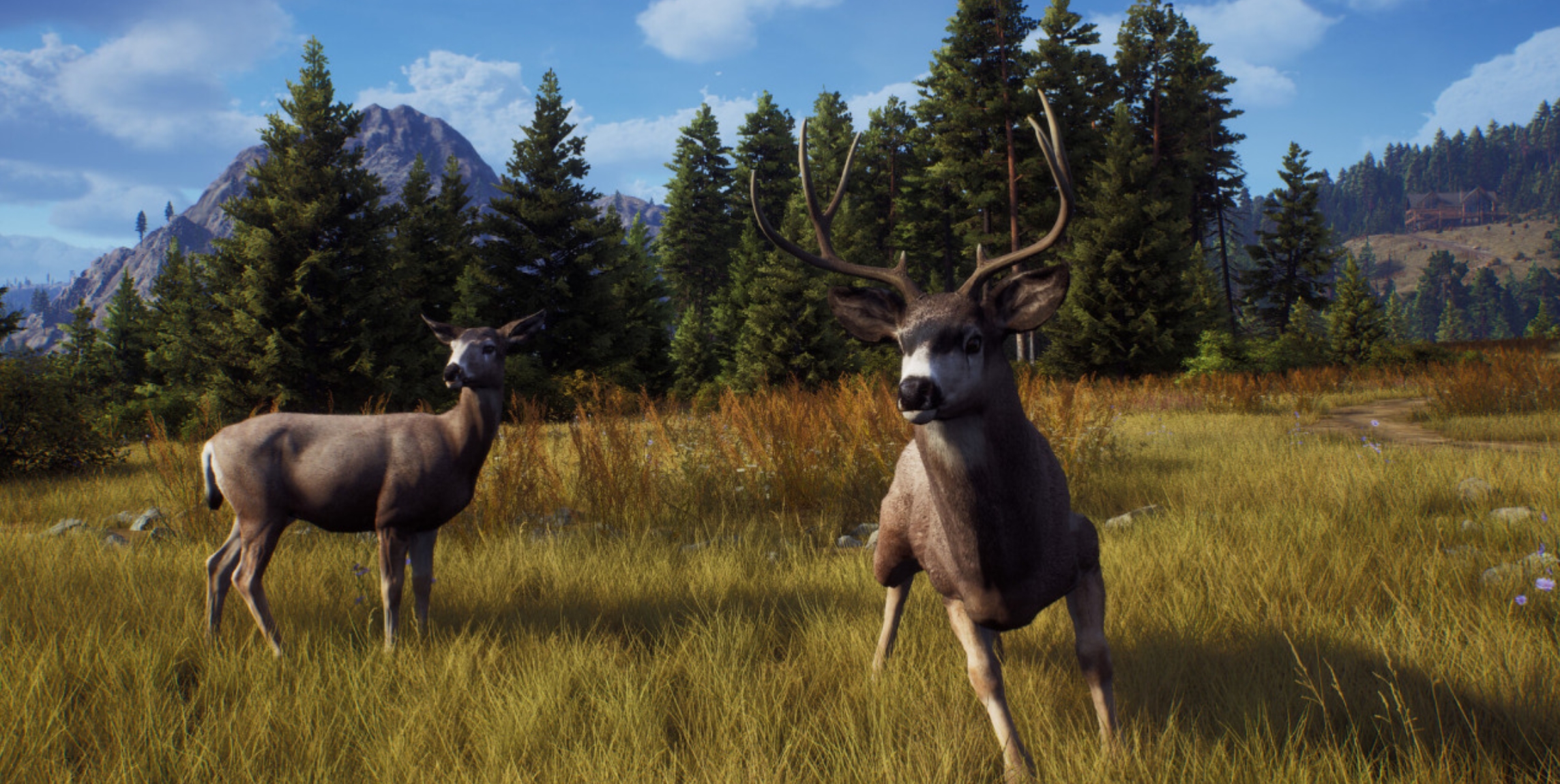 2026�������Բ���Ϸ�Ƽ��ϼ���Ӳ��������������������̵�