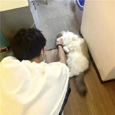 �ɰ�����������������ȫ(��ѡ100��)