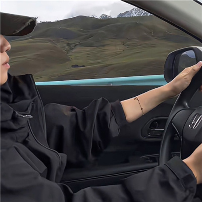 Ӣ����������������ȫ(��ѡ100��)