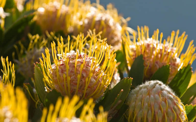 "好文案,一句就够了,很赞"??_wishdown.com "好文案,一句就够了,很赞"??_wishdown.com