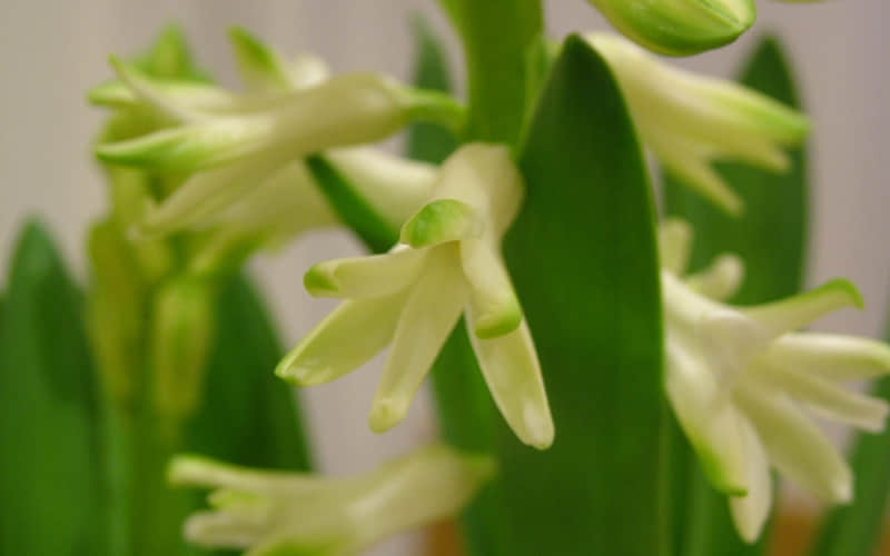 “大格局女人,发的干净句子??”_wishdown.com “大格局女人,发的干净句子??”_wishdown.com