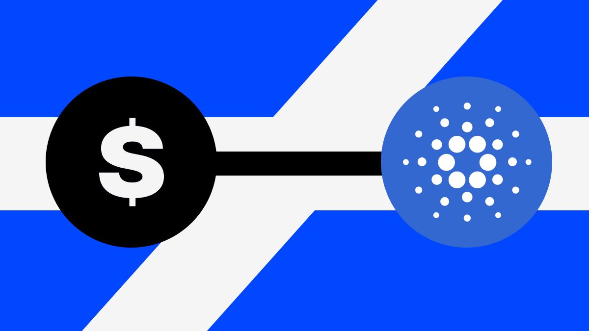 �����Ѻ������ŵ��ADA������2026��׬ȡ�������棿һ�Ľ���