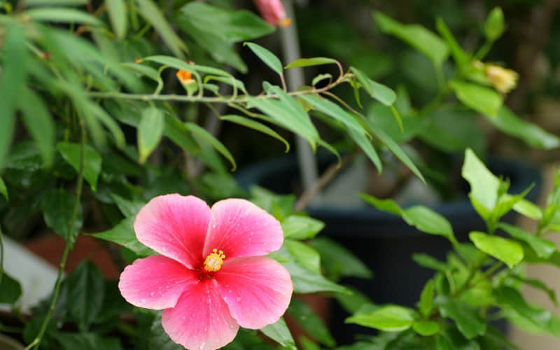 “句句神反转,一秒笑喷”??_wishdown.com “句句神反转,一秒笑喷”??_wishdown.com