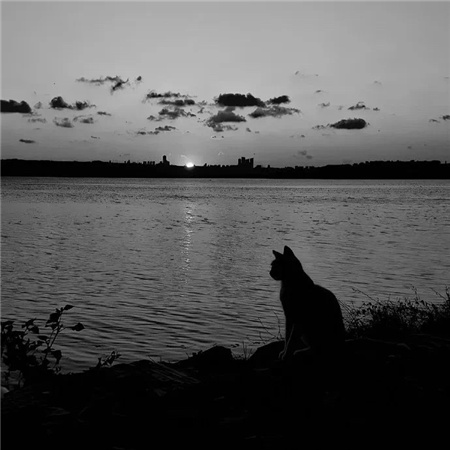 �о����˸���������(��ѡ100��)