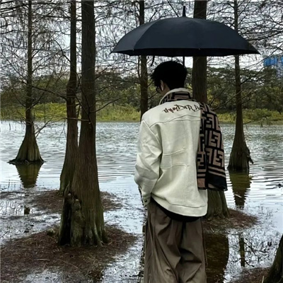 ����Ӣ����������(��ѡ100��)