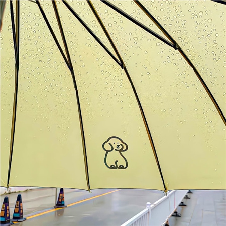 �������˸���������(��ѡ100��)