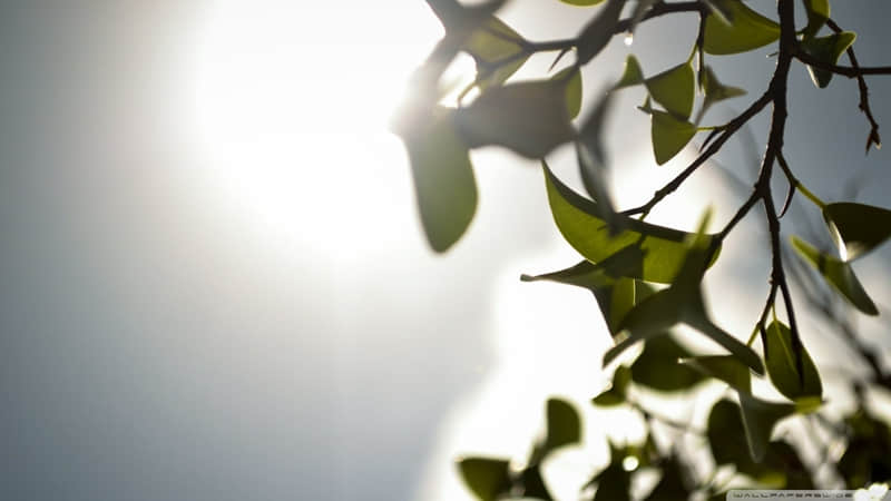 ����������������ʱ��ȥЦ��������Ȧ��