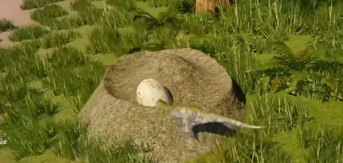 ����������Դ����������ȫ���ԣ��ӻ�ȡ���ɹ���������ϸ����