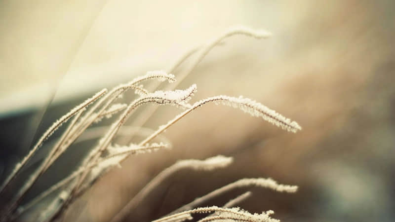 ��һ�����һ�죬����Ȧ����������̫�߼���??