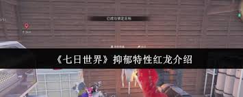 ���������������Ժ�����ô��